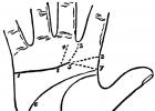 Значение и вариации креста на холме юпитера Знак восьмерка на бугре юпитера руке